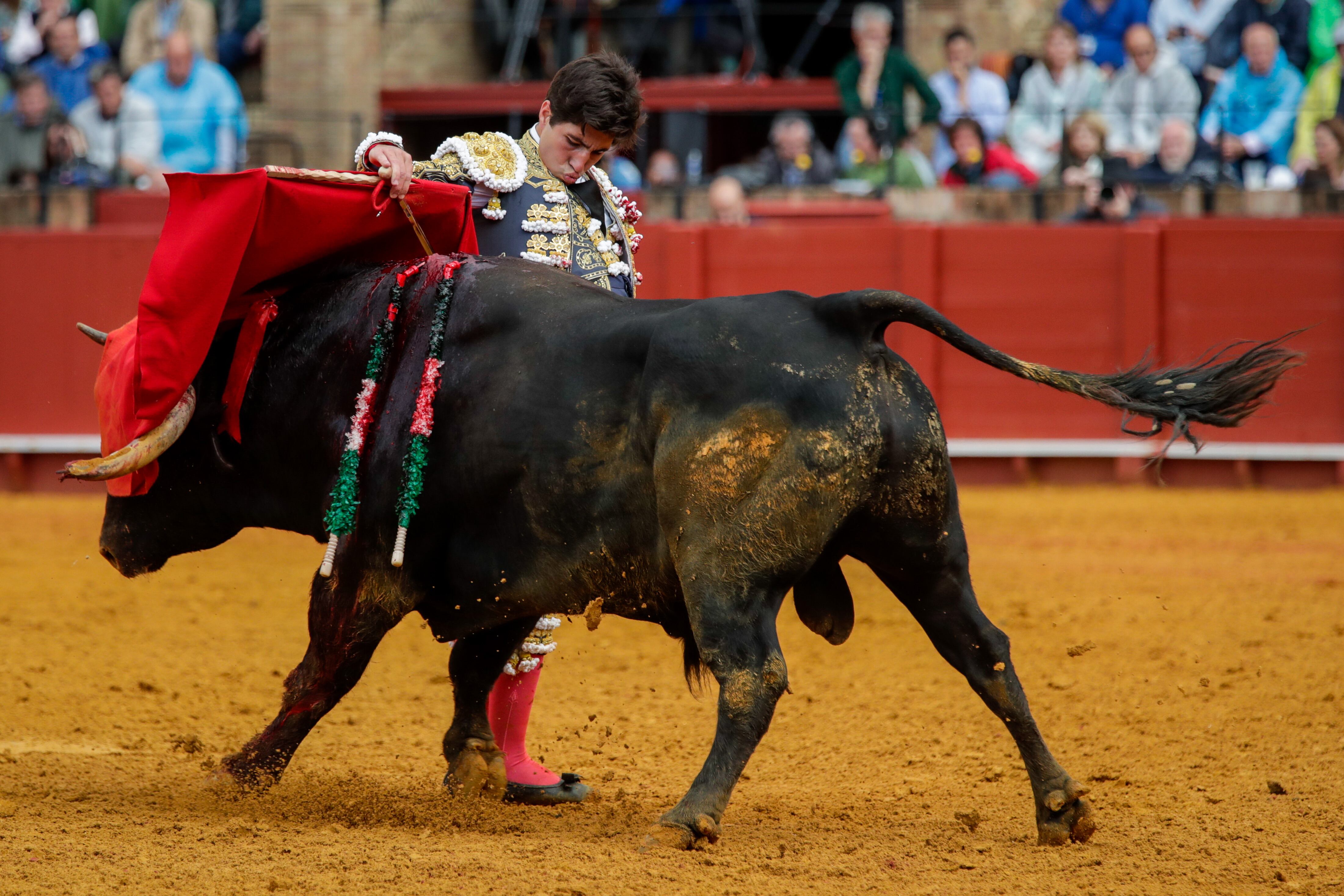 SEVILLA, 03/05/2022.- El torero Álvaro Lorenzo durante la faena al quinto toro de la tarde al que le cortó una oreja en la novena corrida de abono de la Feria de Abril de Sevilla hoy martes en la plaza de la Real Maestranza. EFE/ Julio Muñoz
