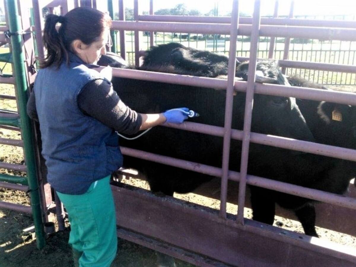 "Sin mujeres, el desarrollo rural es imposible"