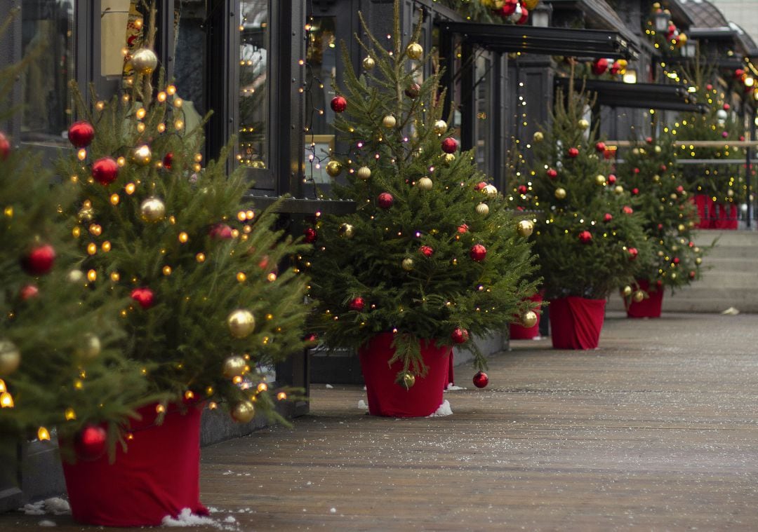 Árboles de Navidad