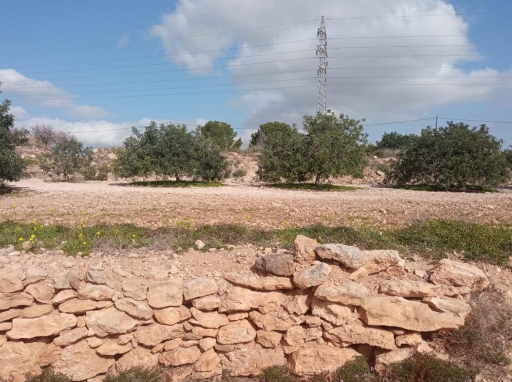 Declaran BIC el yacimiento arqueológico de Rambla de Peñas Blancas del Ladrillar