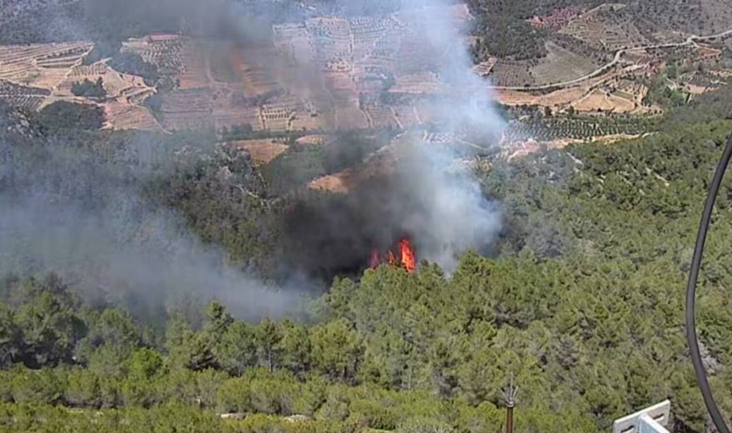 Incendio en La Figuera (Tarragona) / Bombers