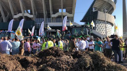 Agricultores y ganaderos junto al Estadio Benito Villamarín