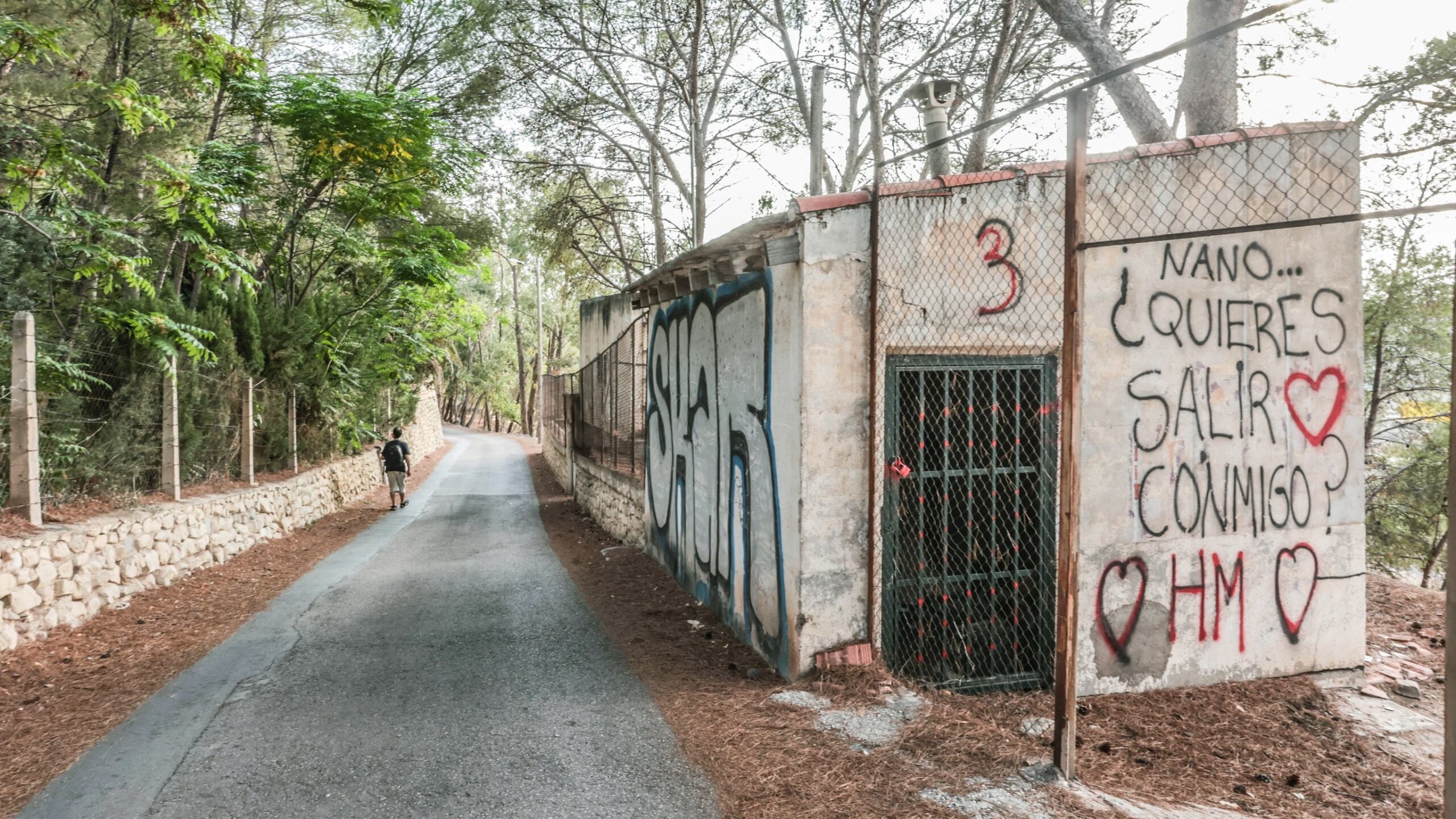 Camino rural en Agualejas, Elda