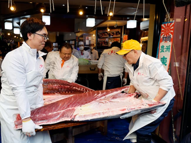 El atún tras comenzar a ser troceado