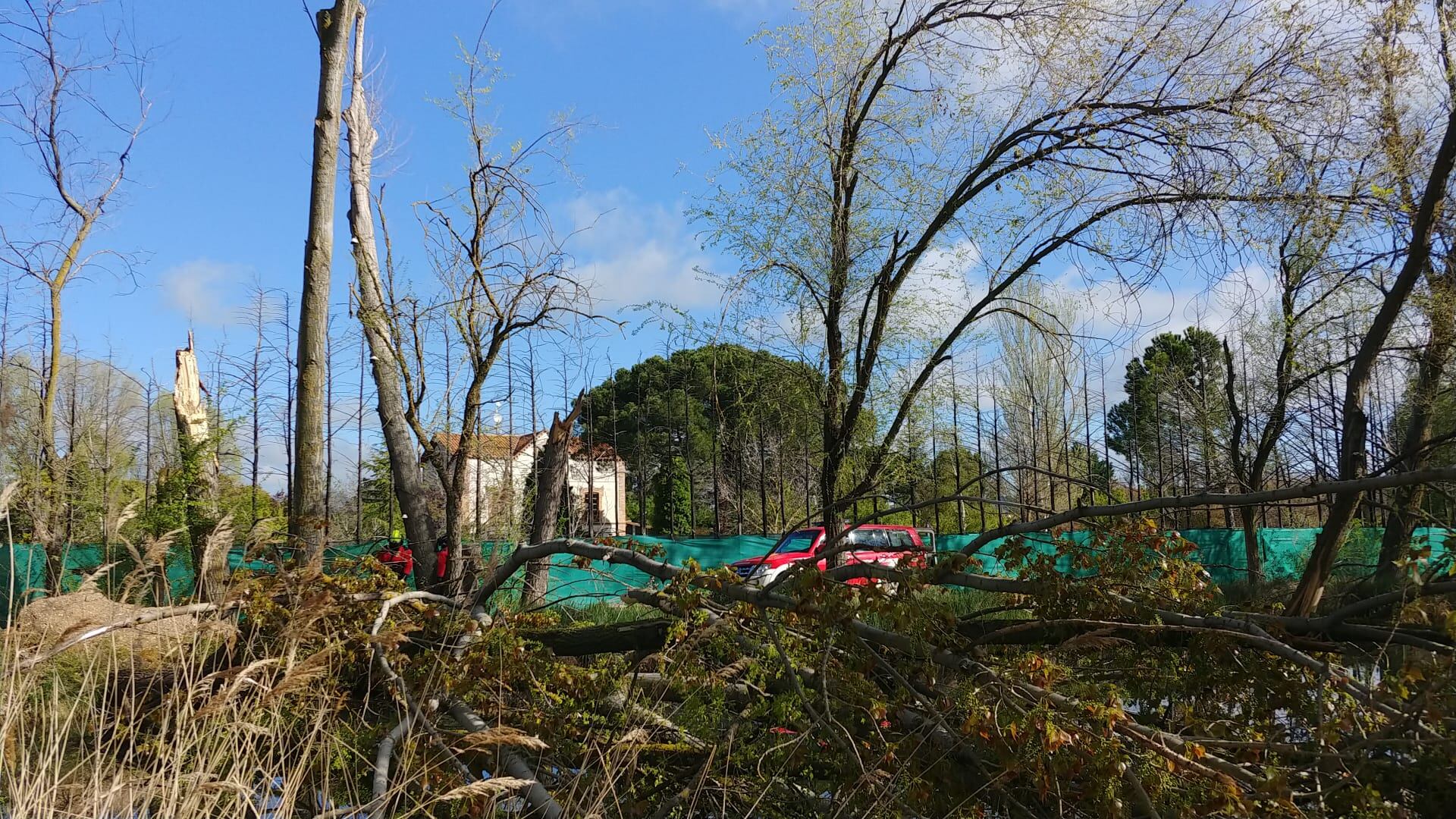 Protección Civil y Bomberos estuvieron trabajando toda la mañana en la zona