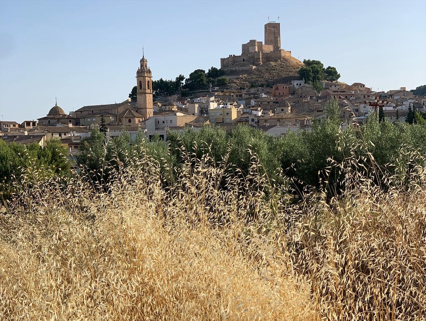 Panorámica de Biar