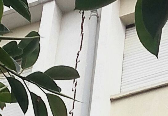 Imagen de la grieta desde el exterior del centro escolar