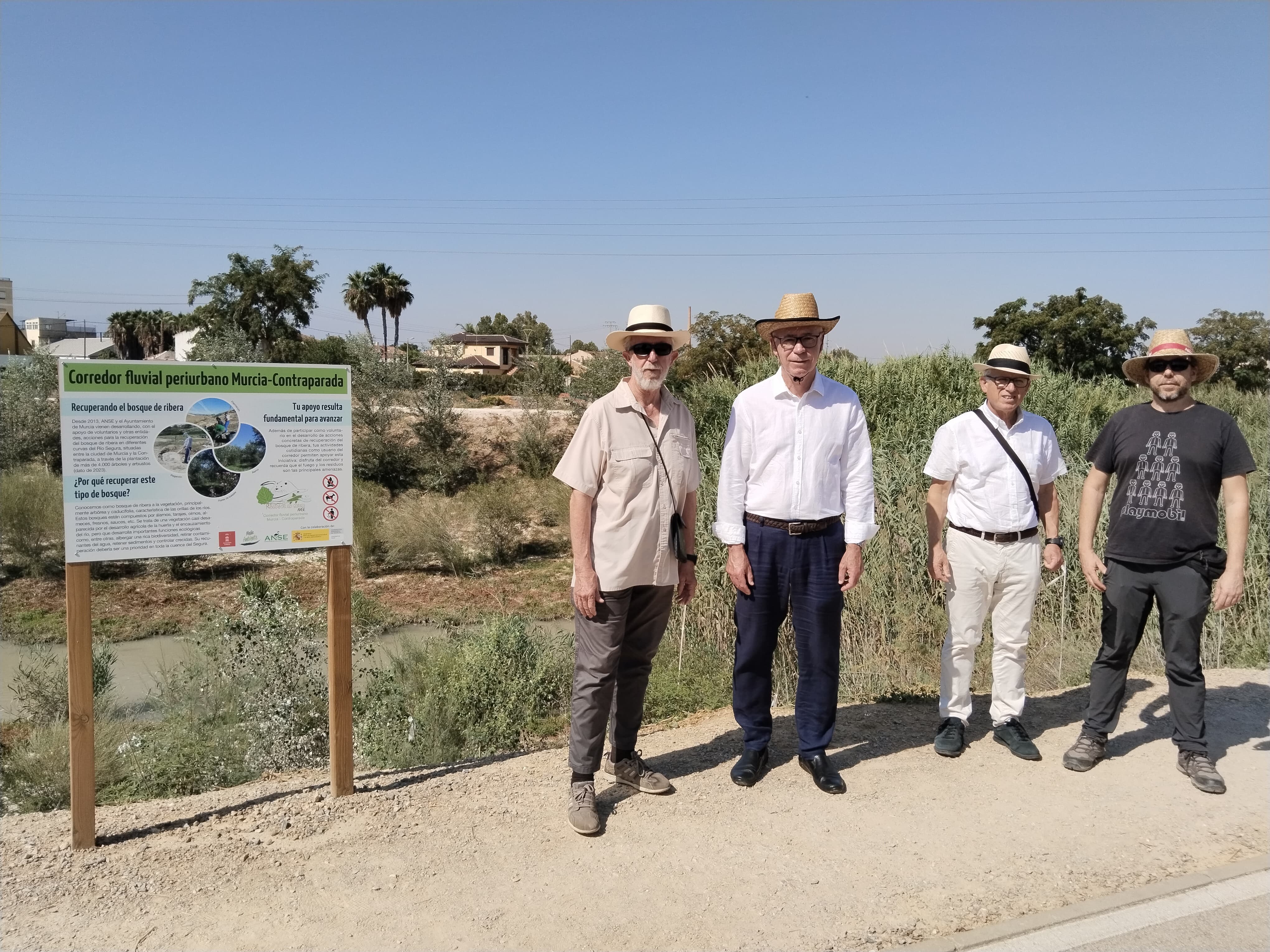 El convenio entre el Ayuntamiento de Murcia y Anse para recuperar el bosque de ribera estrena un plan piloto de conservación de las olmedas