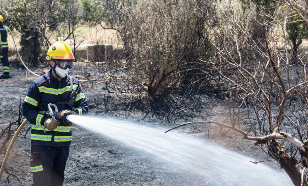 Imágenes del incendio en la A-7, a la altura de El Campello