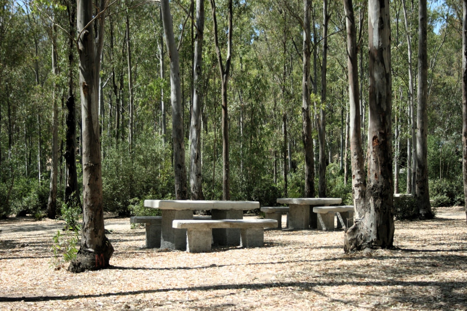 Recorrido por el parque de&quot; Las Aguilillas&quot;