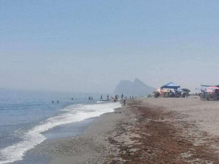Alga Asiática en el litoral de levante de La Línea.