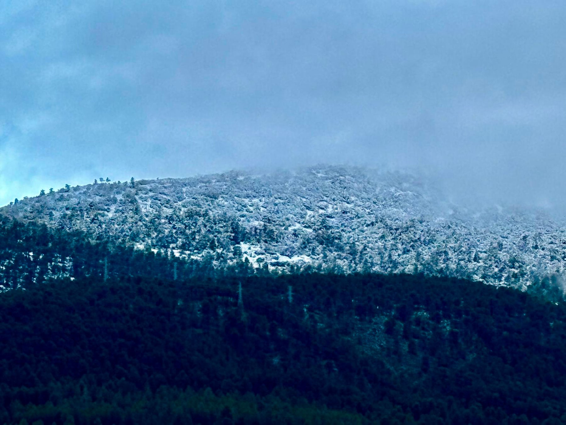 El Carrascal de la Font Roja con nieve