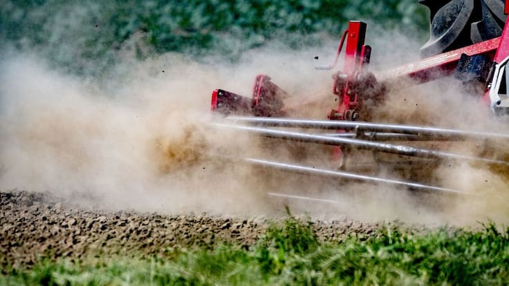 Patata, brócoli y uva registran las mayores diferencias de precio origen-destino, con tendencia a la baja