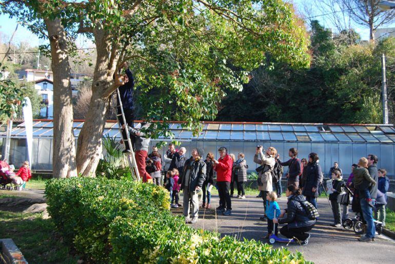 Incursión en el parque de Viveros de Ulia 