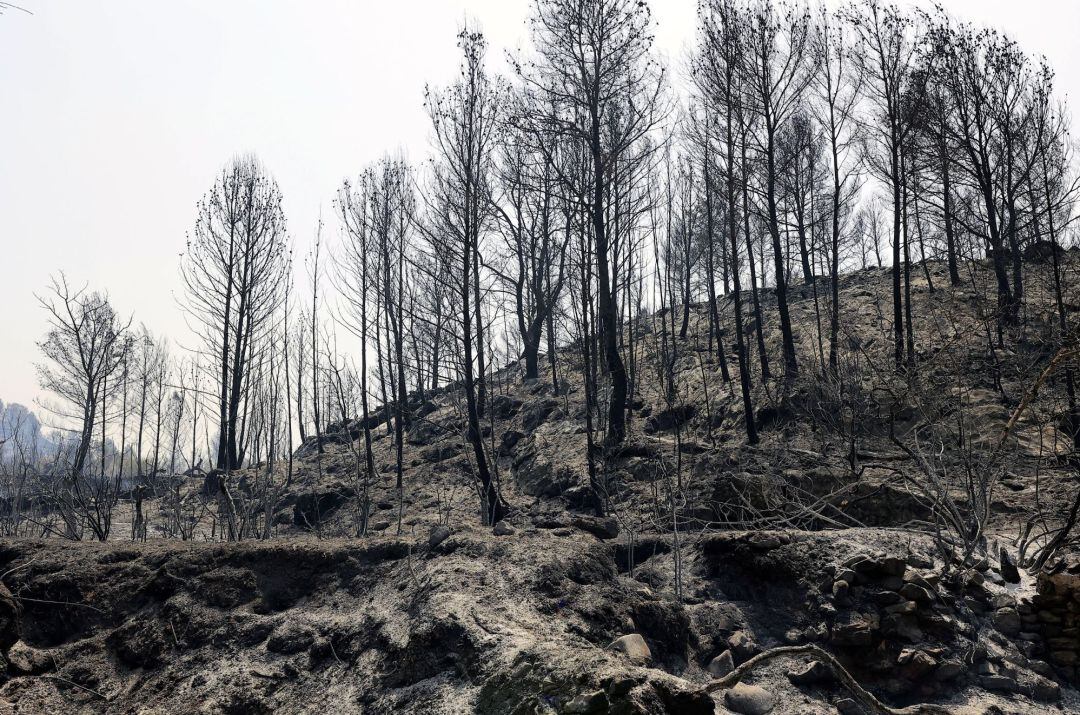 Incendio de Azuébar