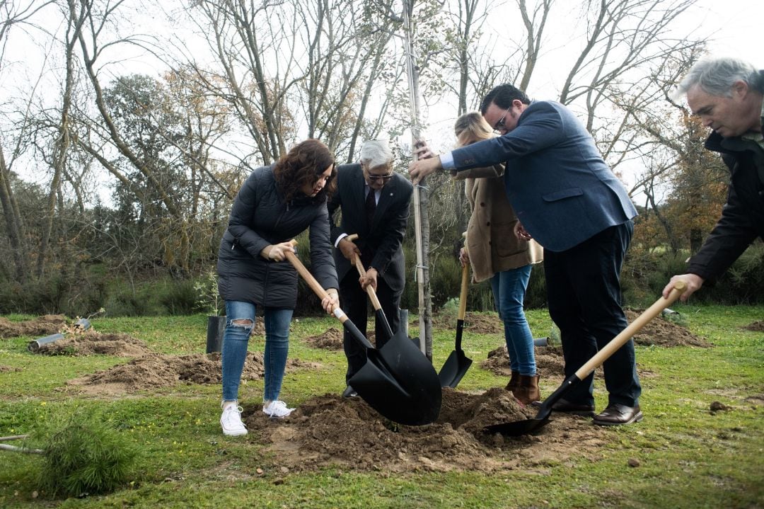 La presidenta madrileña, Isabel Díaz Ayuso plantando un árbol