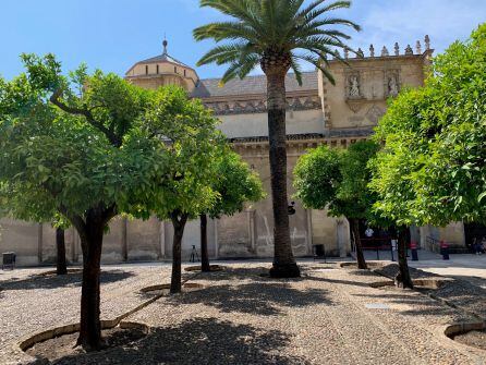 Patio de los Naranjos