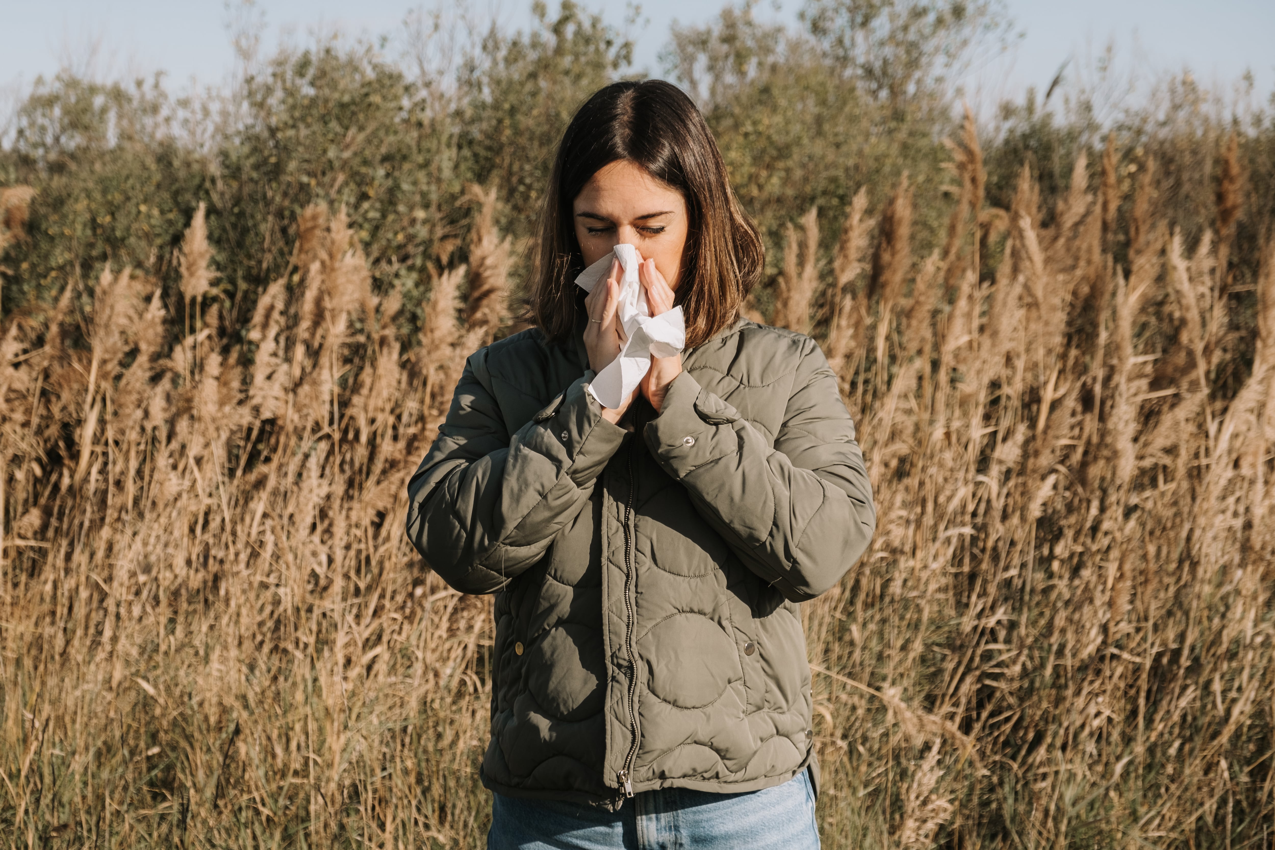 Se prevé una primavera "intensa" en niveles de polen en España