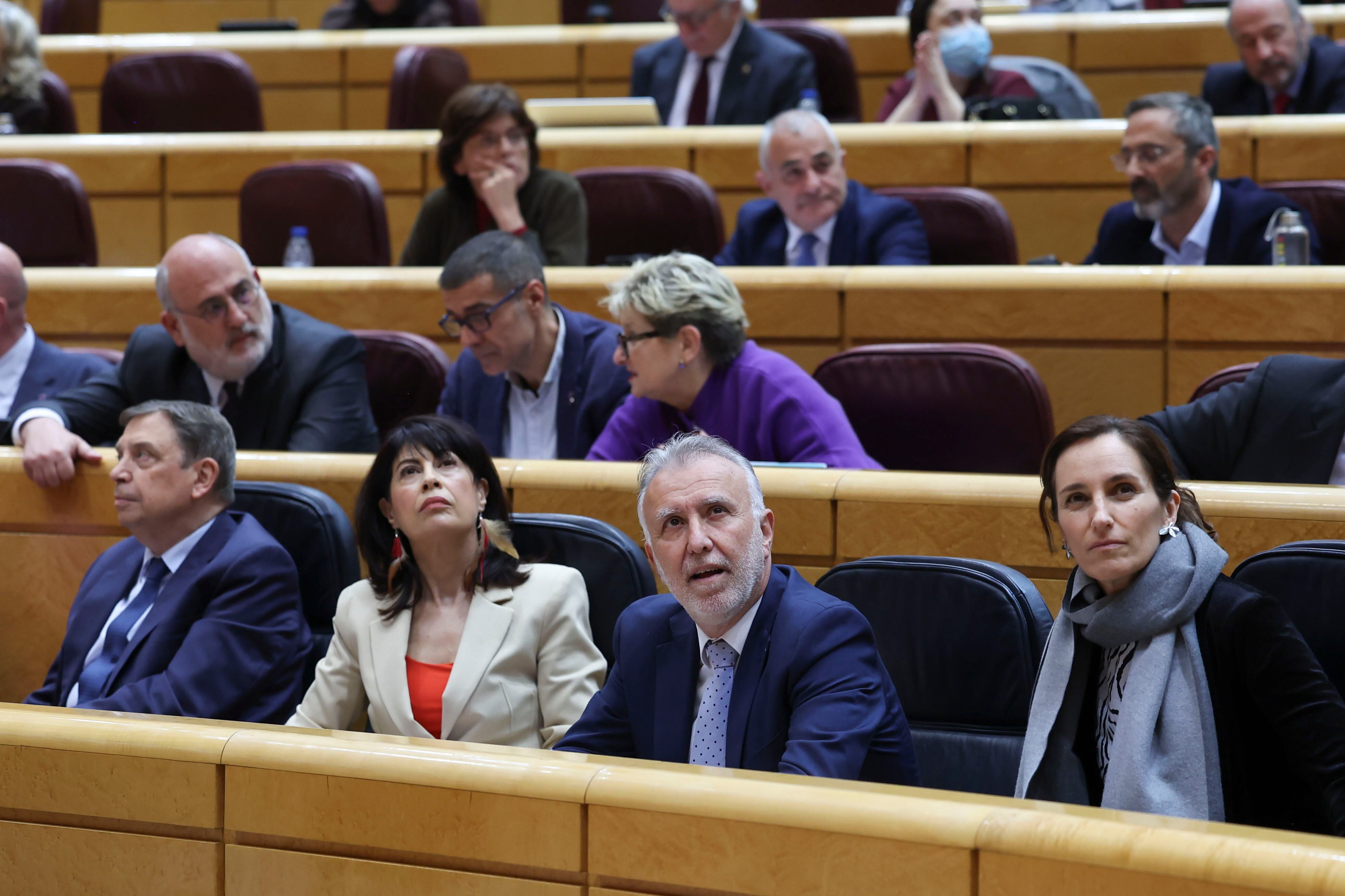 La ministra de Igualdad, Ana Redondo, durante la sesión de control al Gobierno celebrada por el pleno del Senado, este martes en Madrid. EFE/ Kiko Huesca