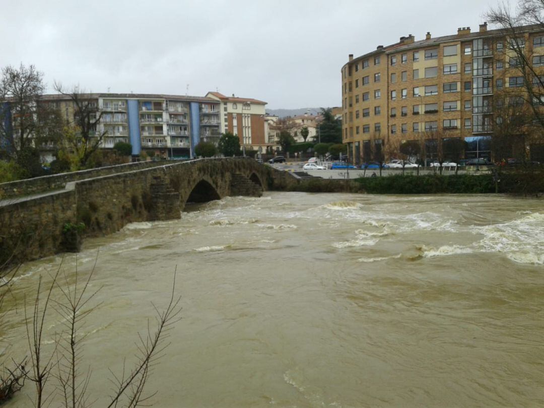 El río Arga a su paso por Pamplona