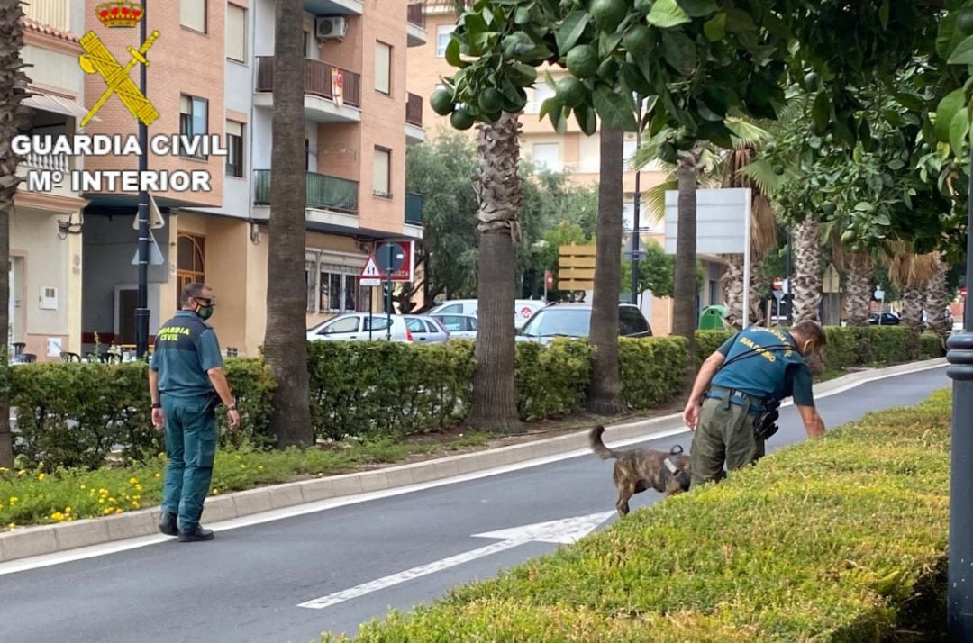 Agentes de la Guardia Civil con canes