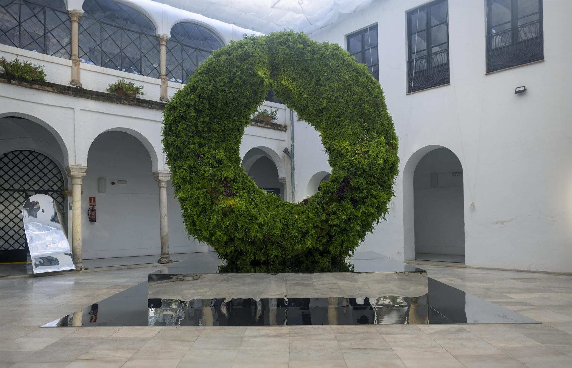 Fusion, de Carolin Ruggaber, ganadora de Patio Talento en FLORA 2024  (Foto Laura M. Lombardía)