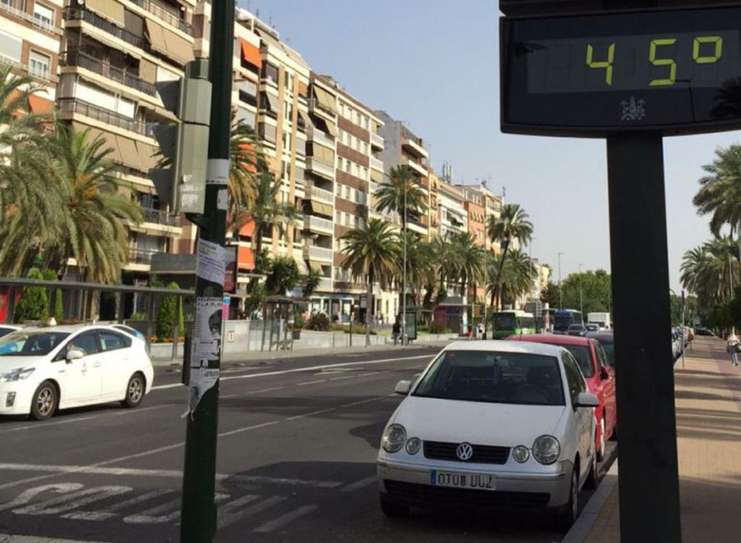 Avenida del Paseo de la Victoria.