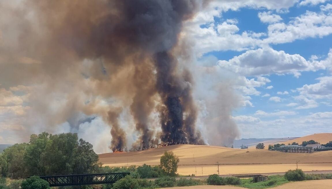 Incendio en un trigal de la campiña de Córdoba