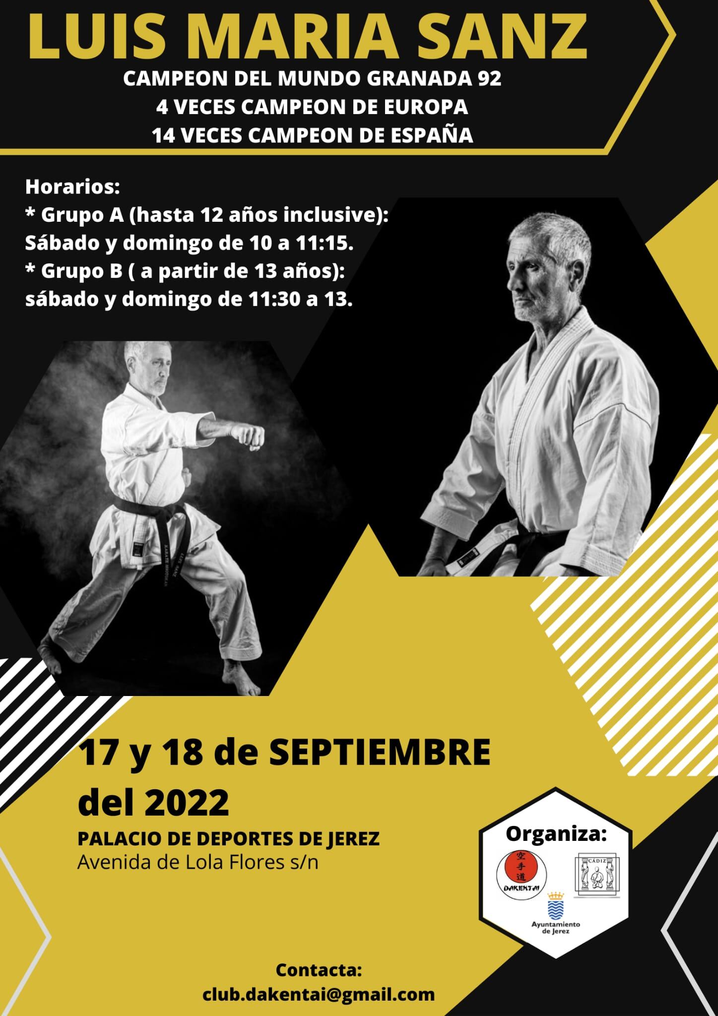 Cartel de la exhibición de kárate