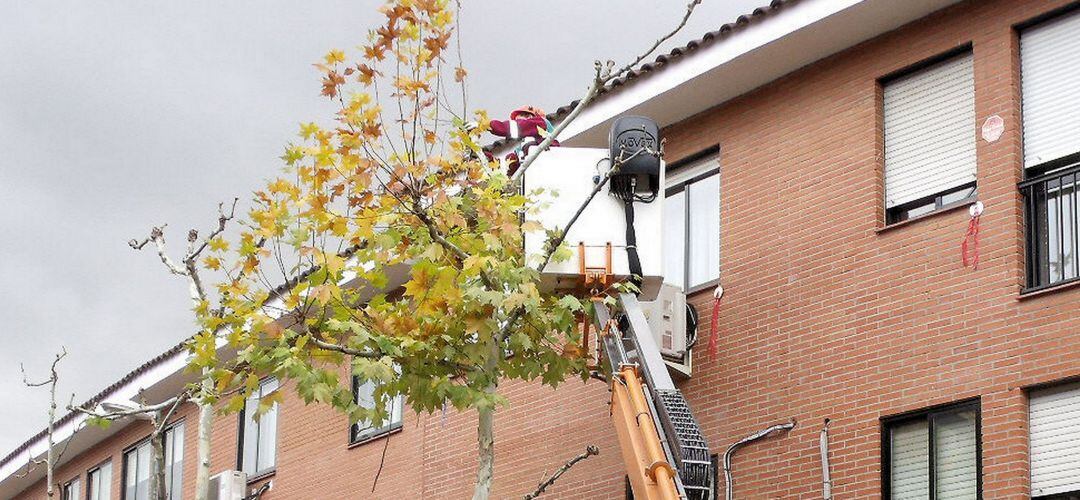 El plan se llevará a cabo en calles, avenidas, urbanizaciones, parques y colegios
