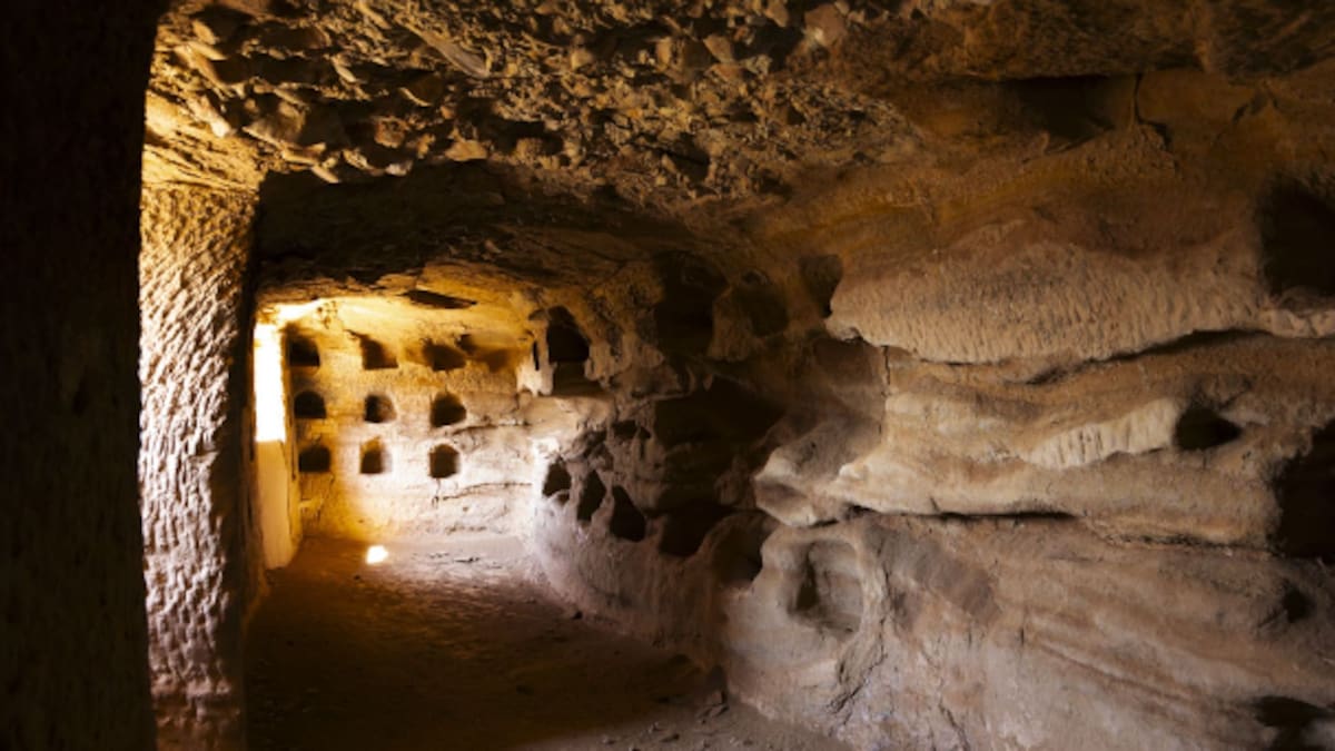 Nalda impulsa la visita a sus palomares con visitas guiadas gratuitas