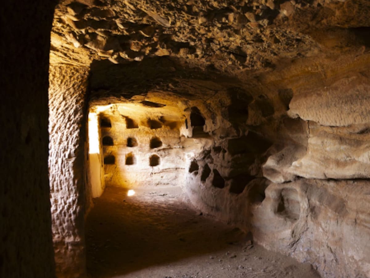 Nalda impulsa la visita a sus palomares con visitas guiadas gratuitas