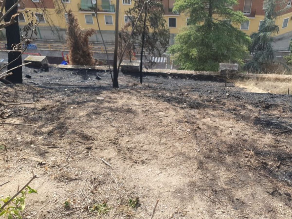 Un pequeño incendio quema 700 metros de rodadera del Parque de la Vega
