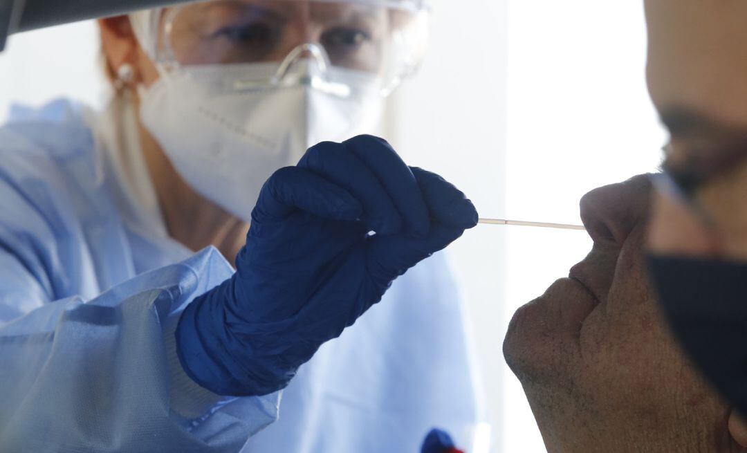 Imagen de archivo de una realización de una prueba PCR