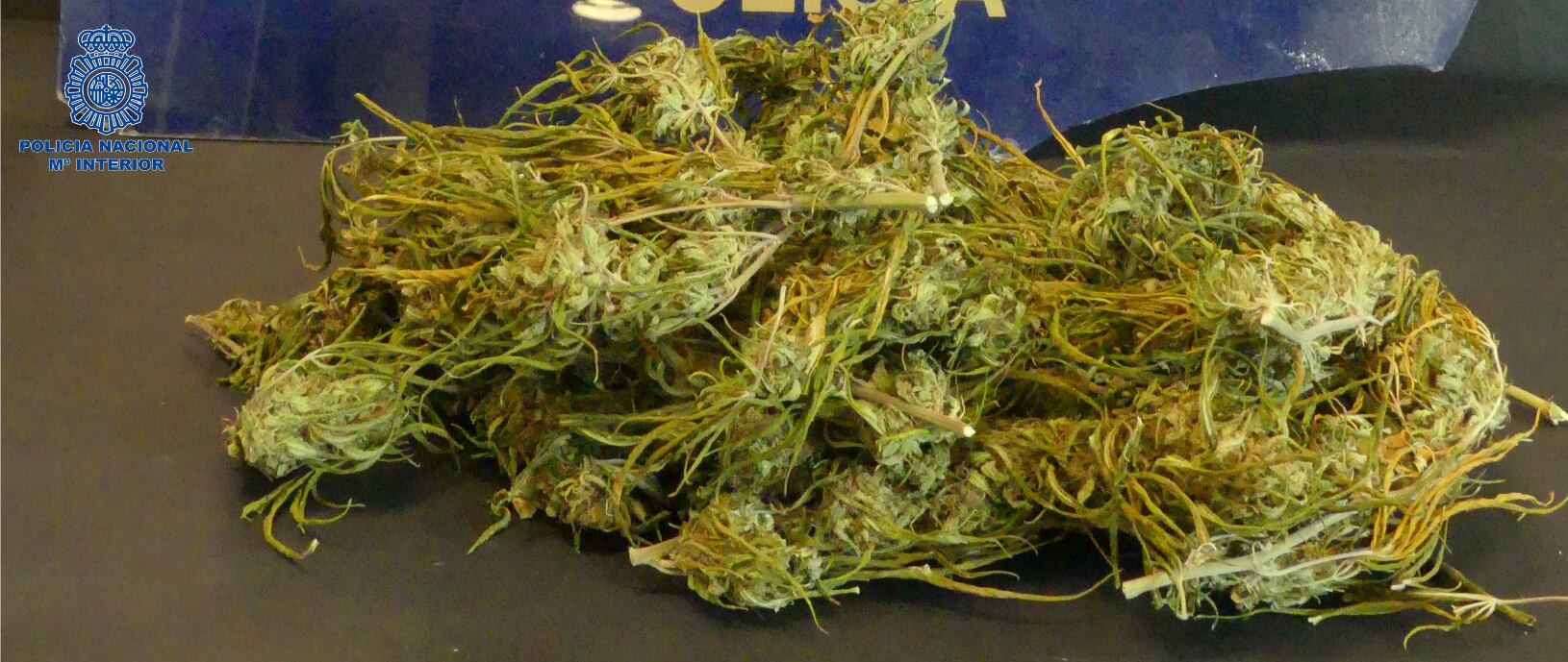 Droga que van descobrir a l&#039;escorcoll del jove detingut.