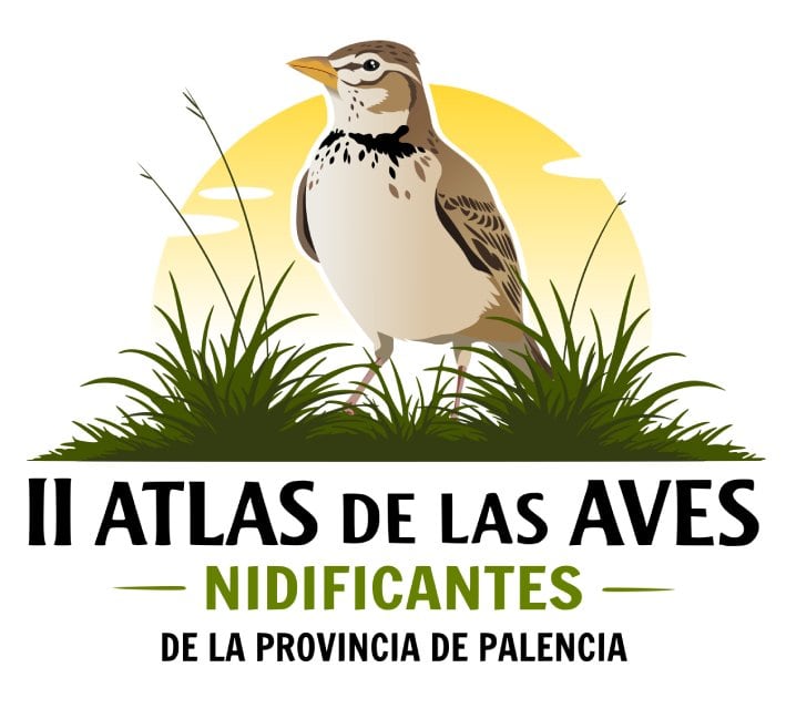 Nuevo Atlas de las aves nidificantes de Palencia