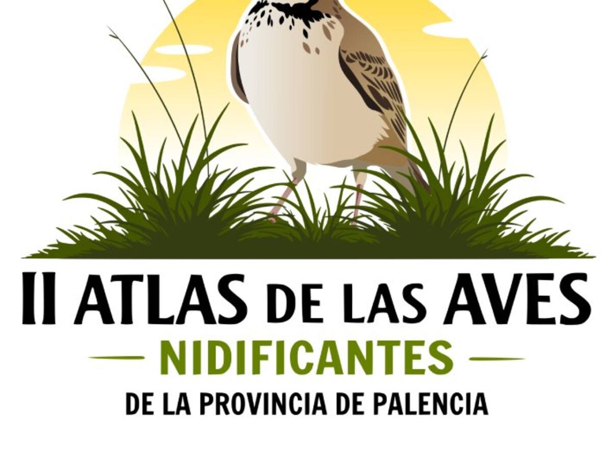 Palencia actualiza el mapa de sus aves nidificantes treinta años después