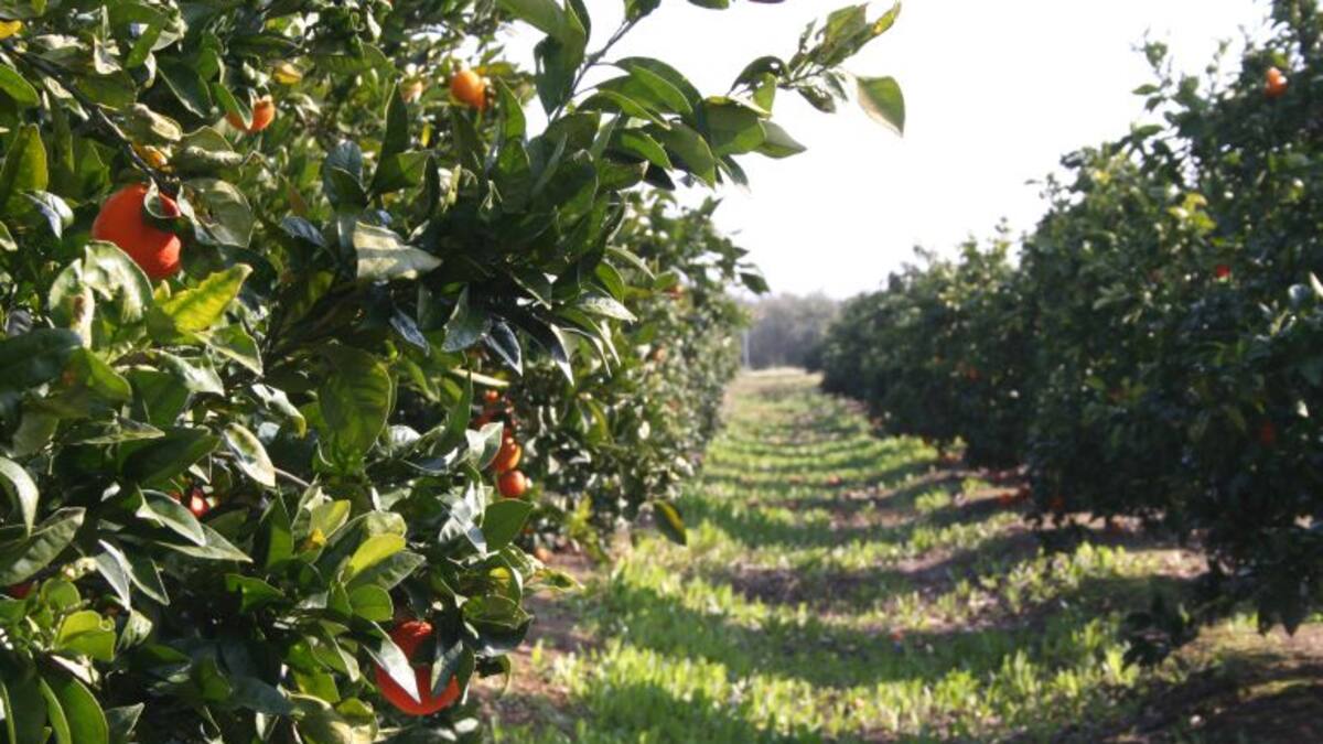 Mayo se cerró con 1346 parados menos en Córdoba