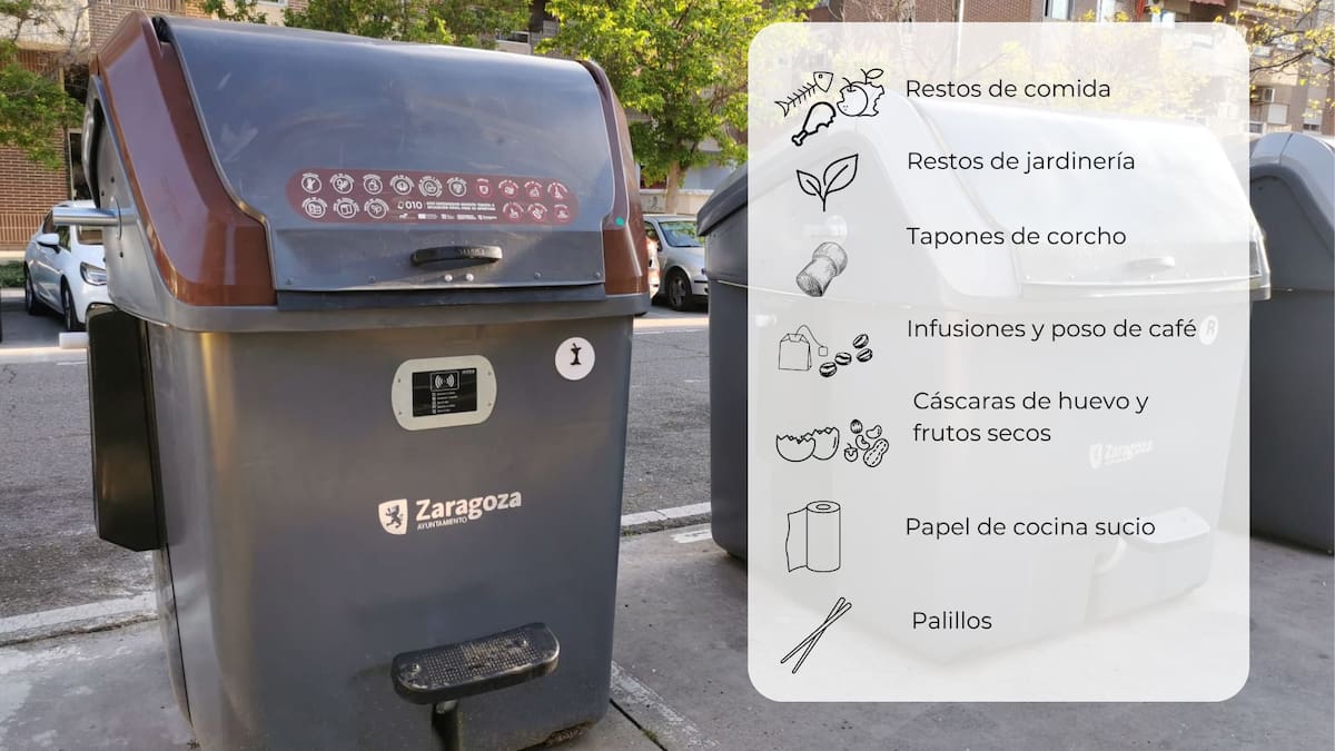 El contenedor marrón (08/04/24)