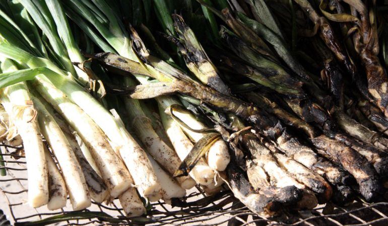 Calçots de la IGP de Valls