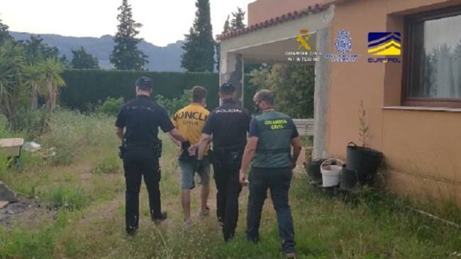 Desmantelada una organización criminal dedicada al cultivo y distribución de marihuana a gran escala a nivel europeo