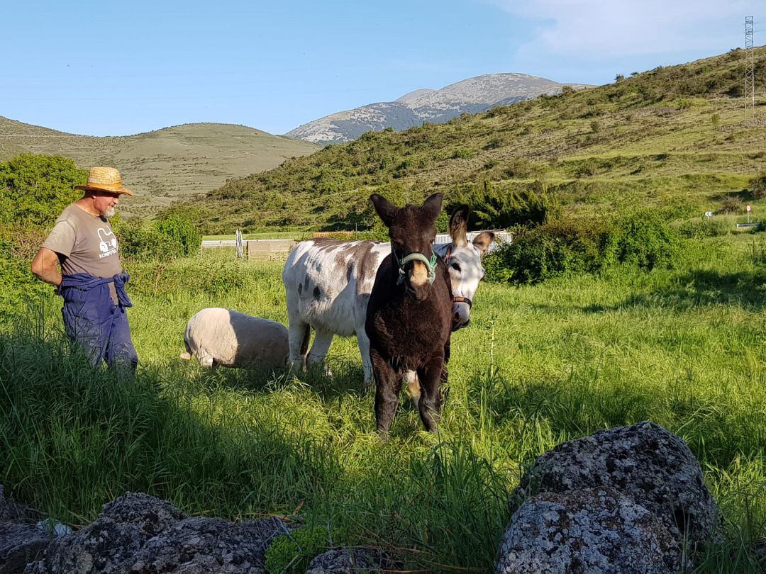 Las casas rurales del Moncayo están aumentando sus reservas para este verano 