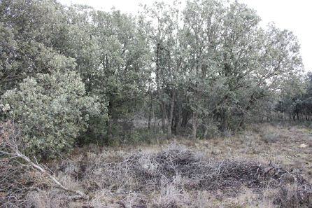 Otra imagen del paraje