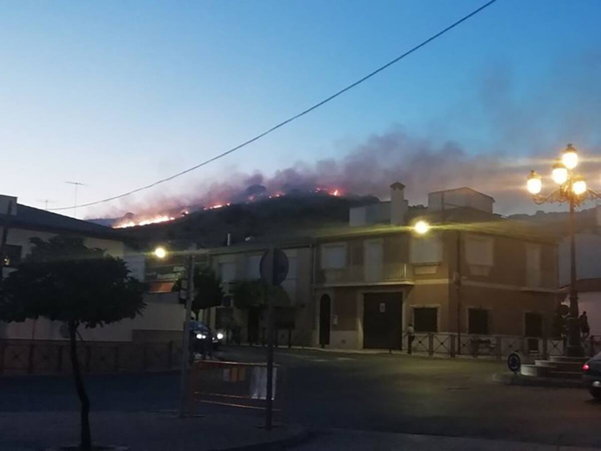 Declarado un incendio forestal en Cabra