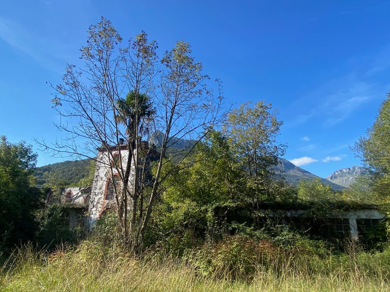 Estado actual de la parcela