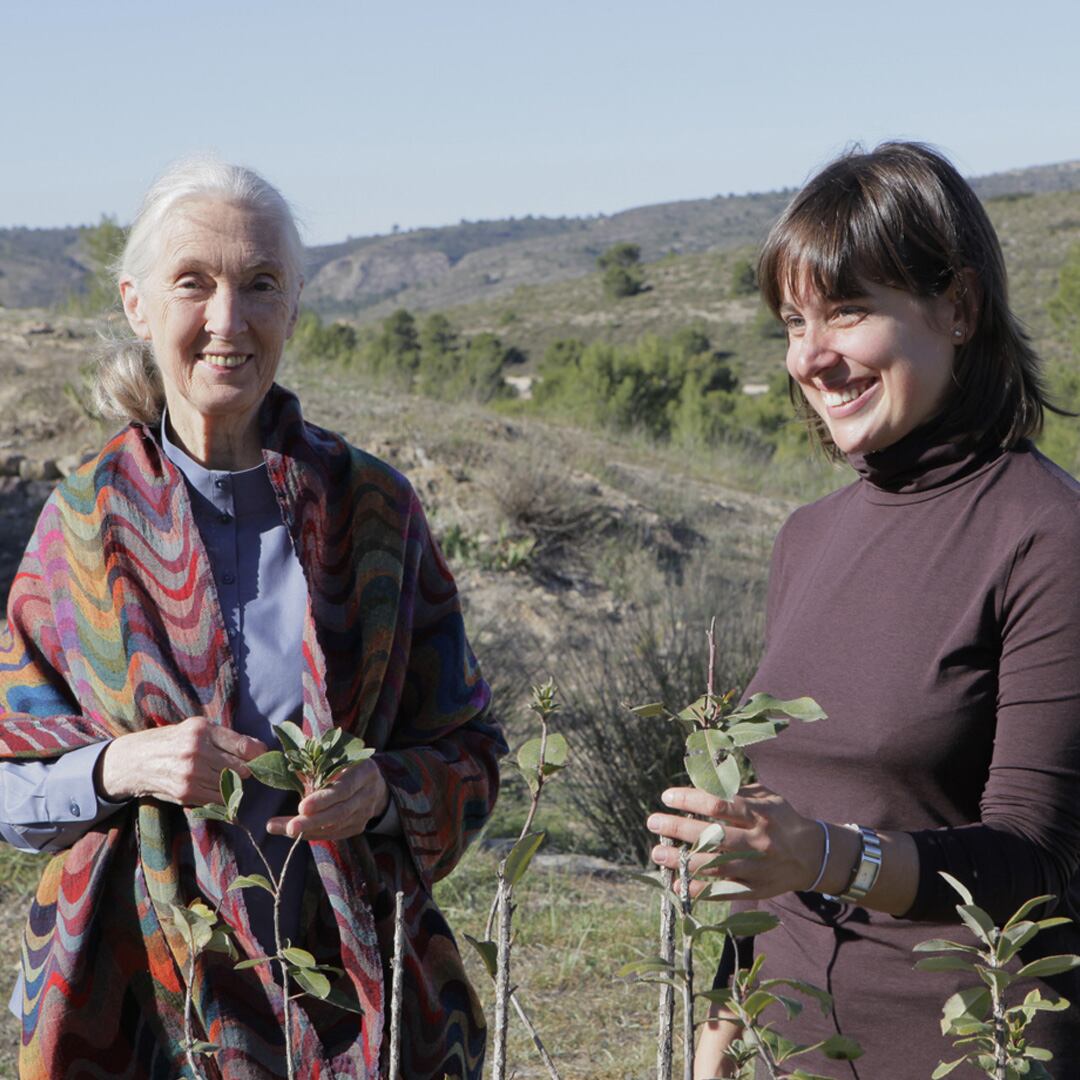 Jane Goodall en Primadomus, en Villena