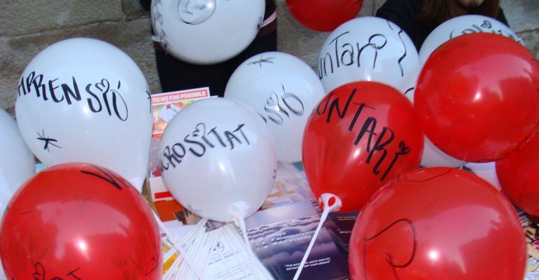 Imatge de la commemoració del Dia Internacional del Voluntariat de 2014 a Lleida.