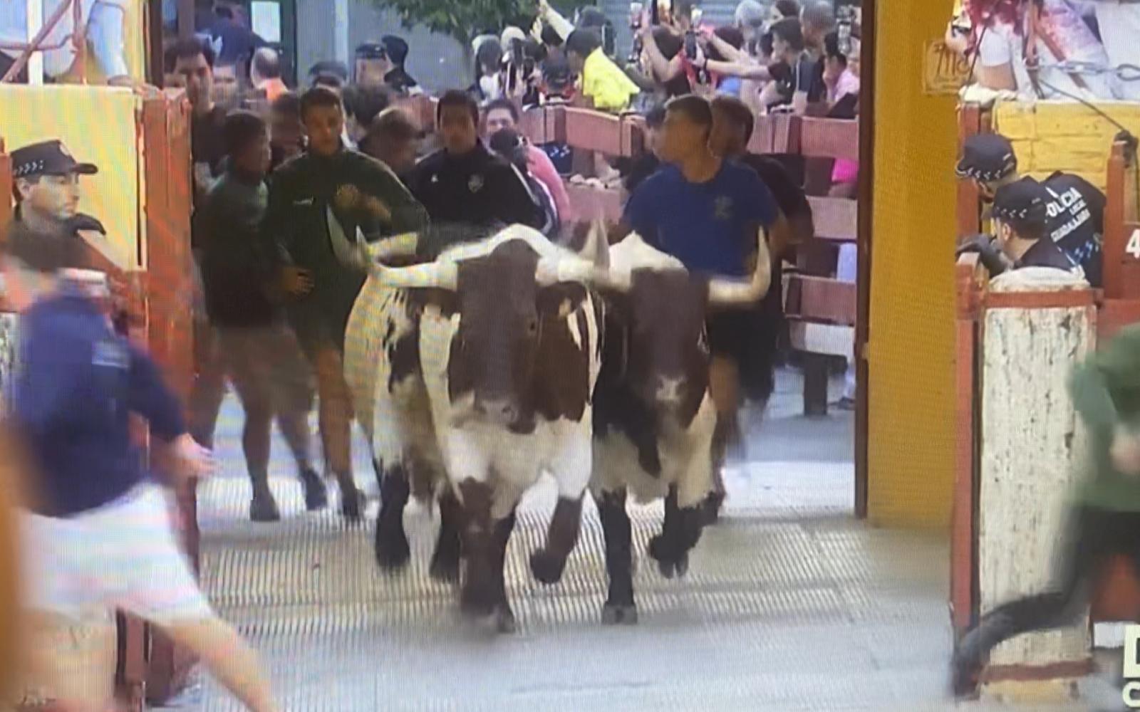 2º encierro de Guadalajara