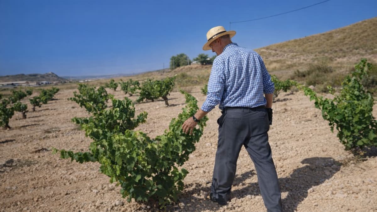 UPA pide acelerar el pago de la PAC a los agricultores murcianos ante el encarecimiento del gasóleo y los fertilizantes