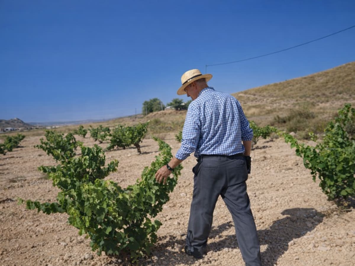 UPA pide acelerar el pago de la PAC a los agricultores murcianos ante el encarecimiento del gasóleo y los fertilizantes